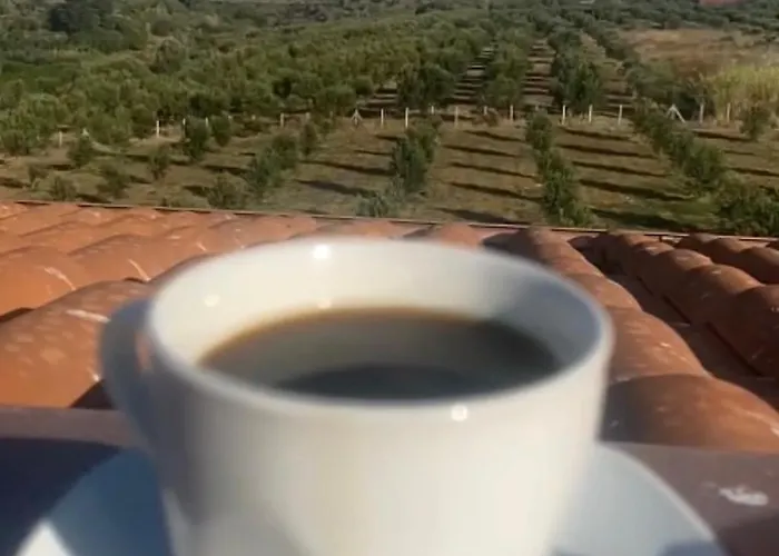 Apartamento Muzzicato *